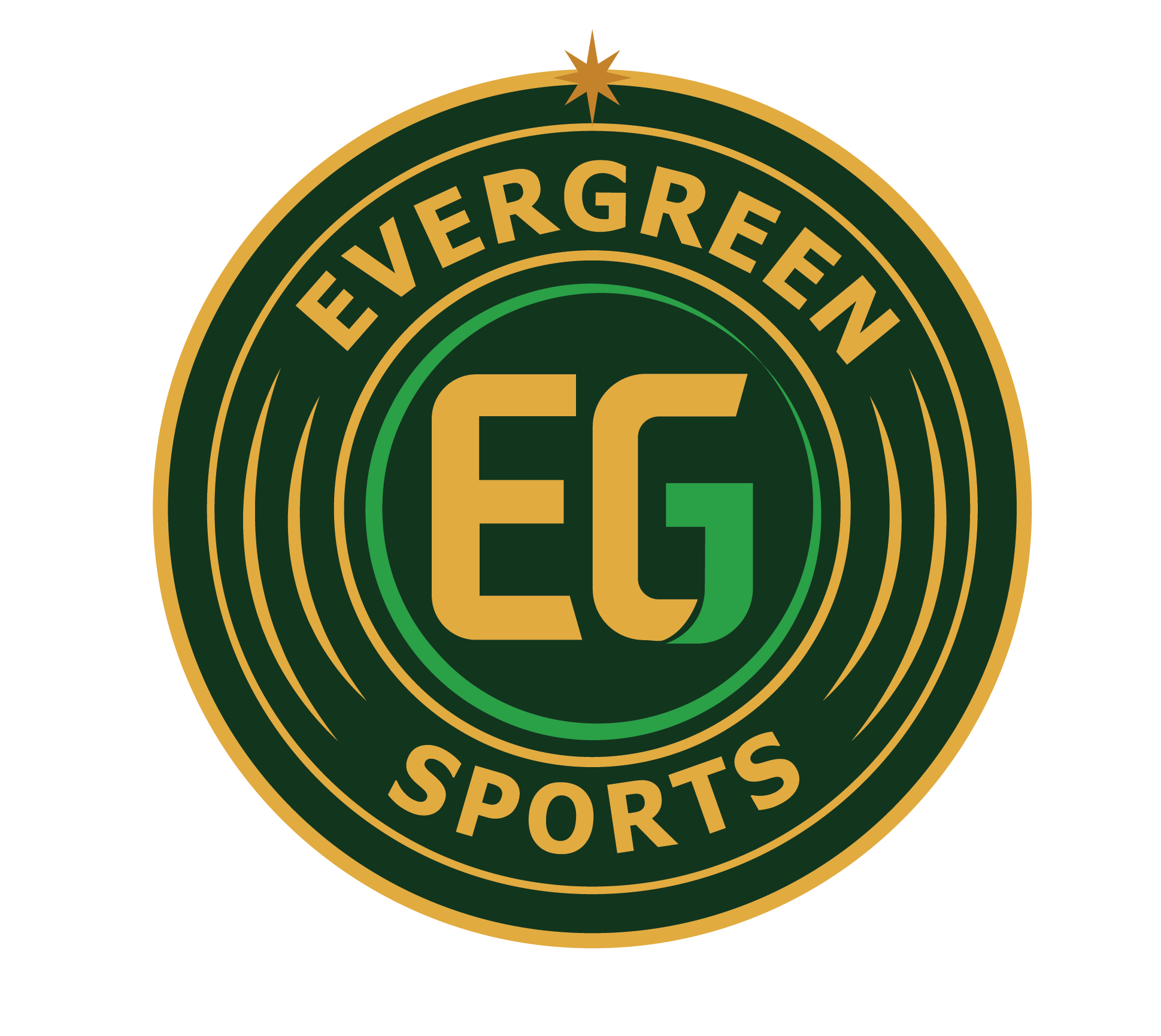 Evergreen Sports & Allied Solutions Pvt Ltd logo